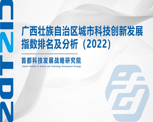 我是骚逼,快操视频【成果发布】广西壮族自治区城市科技创新发展指数排名及分析（2022）